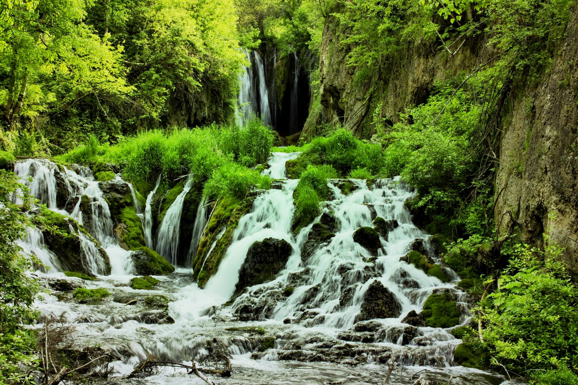 die-philosophie-von-natural-balance-supplements